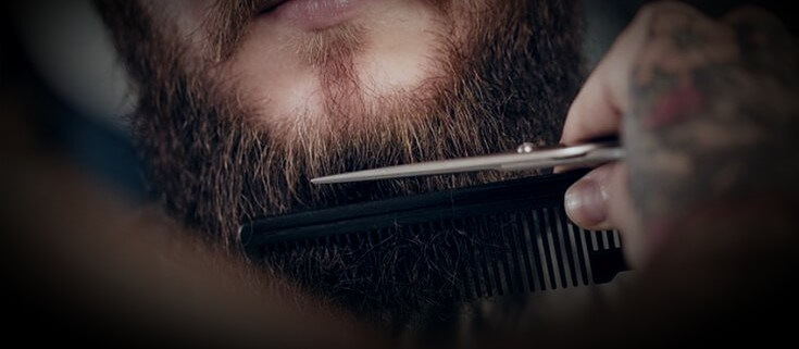 how to groom with hair scissors for face